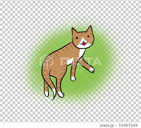 笑顔で振り向く猫のイラスト（丸緑背景） 55907149