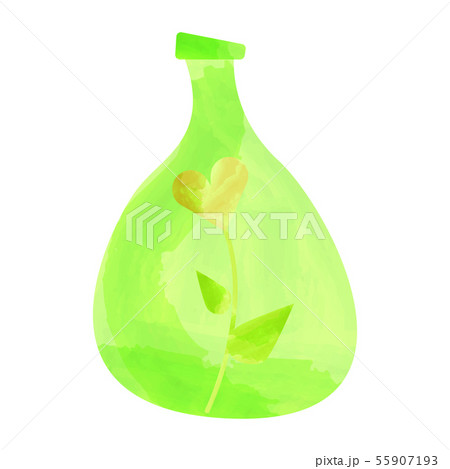 watercolor Rose in a vase, isolated. Vector illustration 55907193