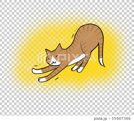 背伸びをし リラックスをする猫のイラスト イエロー背景 のイラスト素材