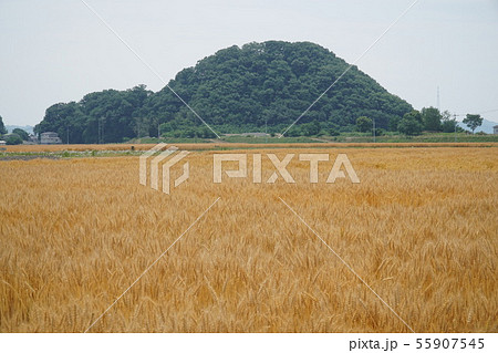 麦畑と宇喜多直家ゆかりの乙子城　岡山県岡山市東区 55907545