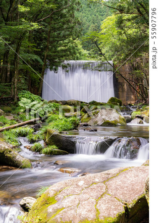 神越渓谷 55907796