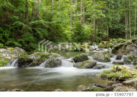 神越渓谷 55907797