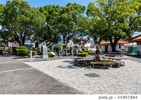 徐福公園 55907884