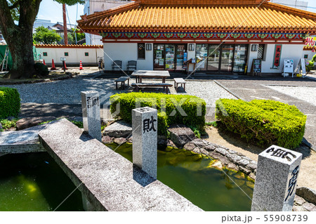 不老の池 徐福公園 不老の池 徐福公園 55908739