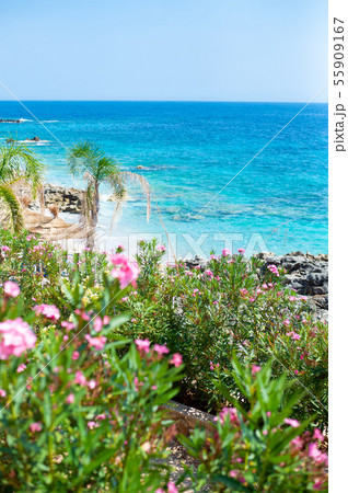 Rocky beach and crystal turquoise water of Ionian Sea in Albania. Calm and relaxing view 55909167