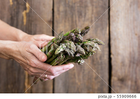 the fresh asparagus 55909666