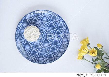 菊 キク 菊の花 55910424