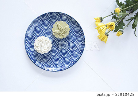 菊 キク 菊の花 55910428
