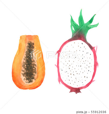 Fruit watercolor collection Hand drawn painting Fruit watercolor collection Hand drawn painting 55912036