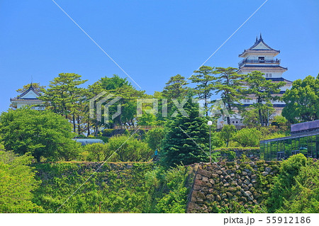 【長崎県】晴天下の島原城天守閣 【長崎県】晴天下の島原城天守閣 55912186