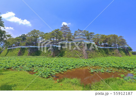 【長崎県】晴天下の島原城天守閣 55912187