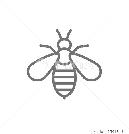 Bee venom therapy line icon. Isolated on white background Bee venom therapy line icon. Isolated on white background 55913134