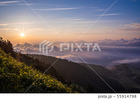 （群馬県）渋峠から望む、雲海の芳ヶ平湿原　夜明け 55914798