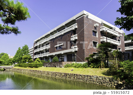 高知県庁　高知城　堀　高知県高知市 55915072