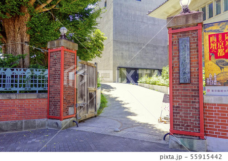 東京藝術大学 55915442