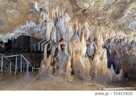 沖縄　石垣島　石垣島鍾乳洞 55915830