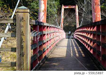 椿公園大吊橋（千葉県いすみ市） 55915897