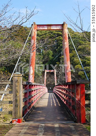 椿公園大吊橋（千葉県いすみ市） 55915902