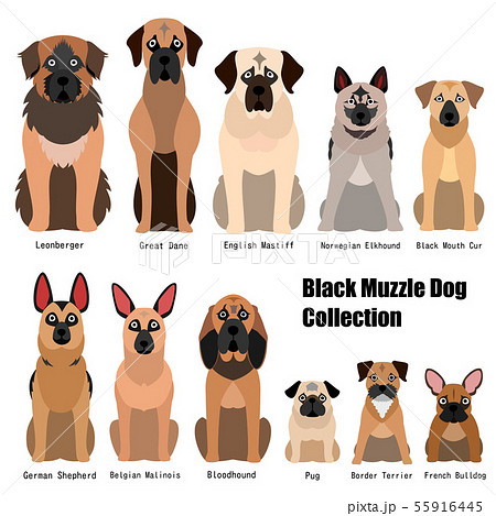口が黒い犬の一覧のイラスト素材