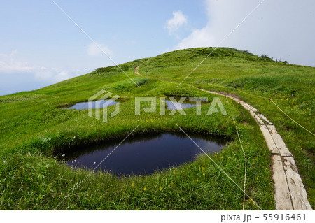 巻機山 山頂付近の池塘群 巻機山 山頂付近の池塘群 55916461