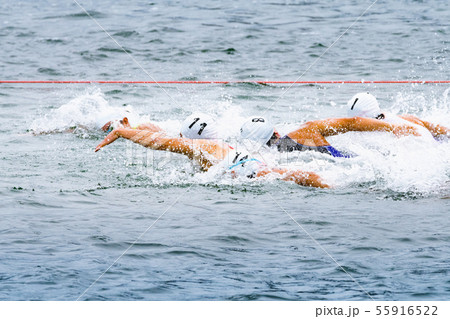 力泳するトライアスロン大会スイム競技者 力泳するトライアスロン大会スイム競技者 55916522