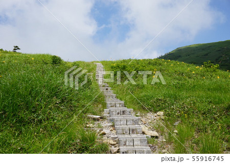 巻機山の木道 避難小屋と山頂の中間付近 巻機山の木道 避難小屋と山頂の中間付近 55916745