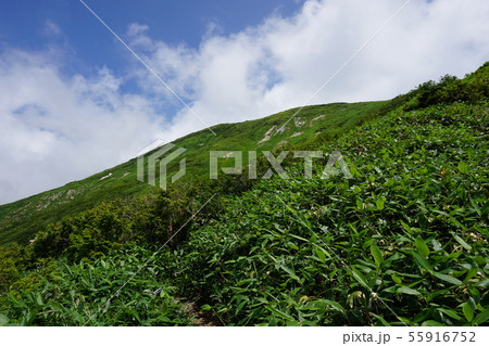 巻機山　登山道からみる山頂付近 55916752