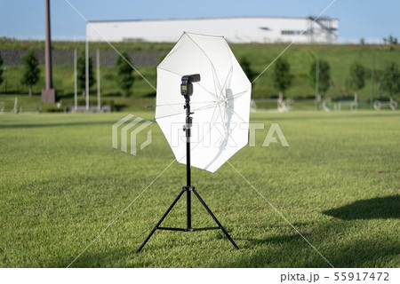 撮影用の傘 撮影用の傘 55917472
