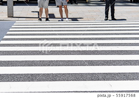 横断歩道 横断歩道 55917568