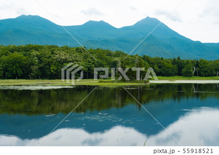 [北海道]世界自然遺産＿知床五湖巡り＿二湖 55918521