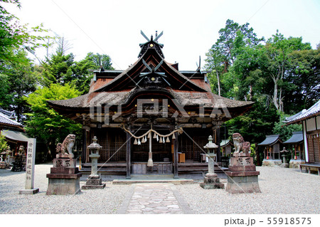 丹波柏原の厄神さん　柏原八幡宮　本殿　国指定の重要文化財　丹波市柏原町　正面より 55918575