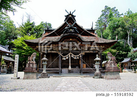 丹波柏原の厄神さん 柏原八幡宮 本殿 国指定の重要文化財 丹波市柏原町 正面より少しアップ気味に 丹波柏原の厄神さん 柏原八幡宮 本殿 国指定の重要文化財 丹波市柏原町 正面より少しアップ気味に 55918592