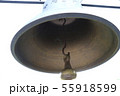 鐘 55918599