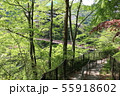 緑にのぞく橋 55918602