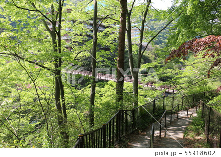 緑にのぞく橋 緑にのぞく橋 55918602