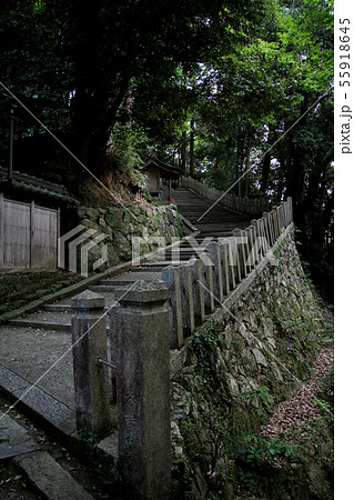 丹波柏原の厄神さん　柏原八幡宮　緑深い参道の石段を望む　丹波市柏原町　縦位置 55918645