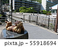 町にいる鬼ちゃん 55918694