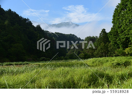 夏の黒澤湿原 夏の黒澤湿原 55918928