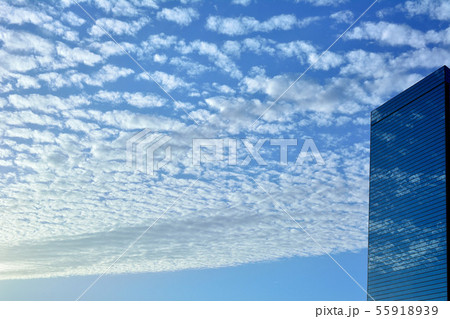 ビルと空 55918939