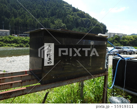 吉野川　潮生淵 55919311