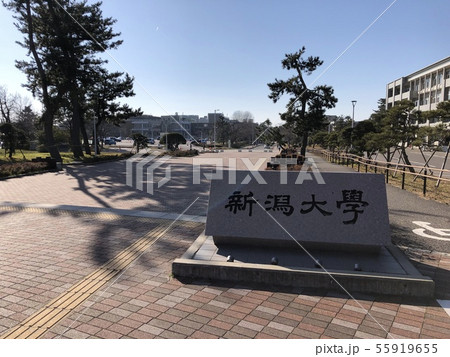 新潟大学 55919655