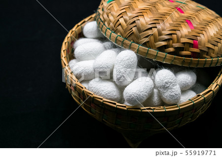 white silk cocoon 55919771
