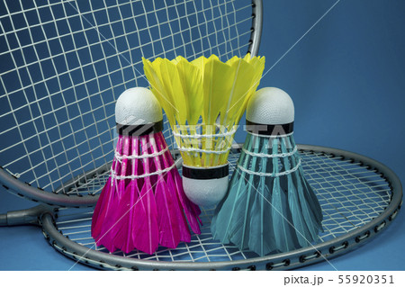 Feathered shuttlecocks and badminton rackets Feathered shuttlecocks and badminton rackets 55920351
