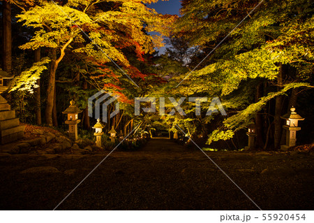 秋の滋賀多賀 胡宮神社 紅葉ライトアップ 秋の滋賀多賀 胡宮神社 紅葉ライトアップ 55920454