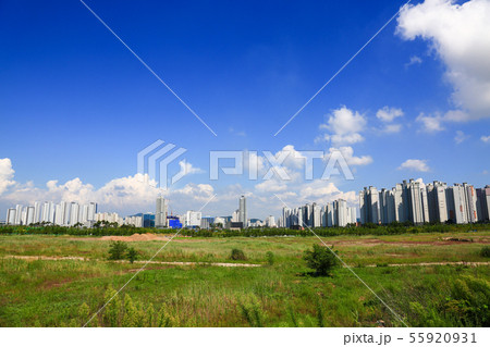 風景 自然 青羅国際都市 55920931