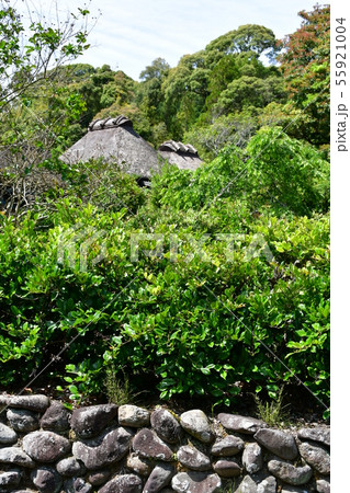 初夏の入来麓武家屋敷 初夏の入来麓武家屋敷 55921004