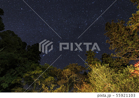 山里の星景　オリオン座 55921103