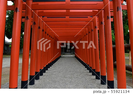 雨の水前寺公園 55921134