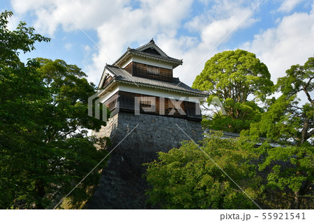 早春の熊本城　熊本地震　復旧工事  ２０１９年 55921541