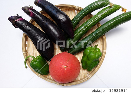夏野菜 夏野菜 55921914
